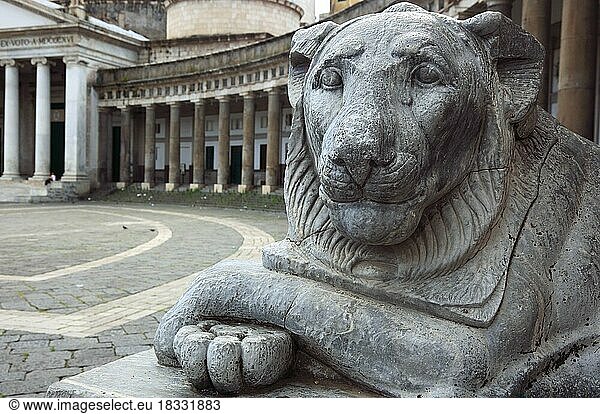 Der schmunzelnde Löwe an der Basilica di San Francesco di Paola an der Piazza del Plebiscito  Neapel  Kampanien  Italien  Europa