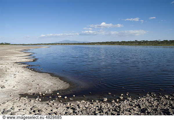 Der See Masek am Anfang der Schlucht von Olduvai in Ndutu  Ngorongoro  Tansania  Afrika
