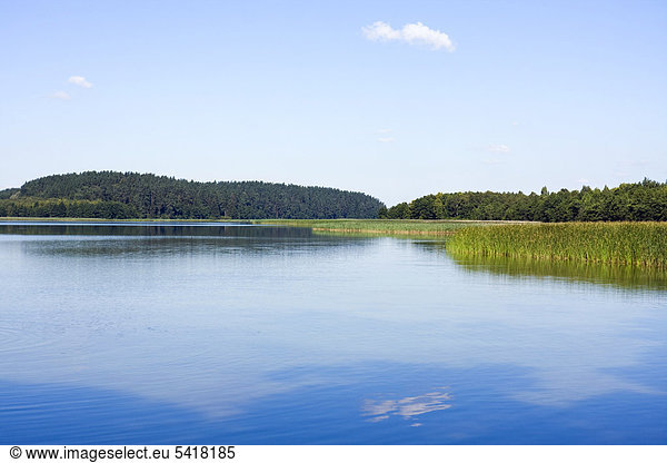 Der See Wigry  Piasky  Wigierski-Nationalpark  Polen  Europa