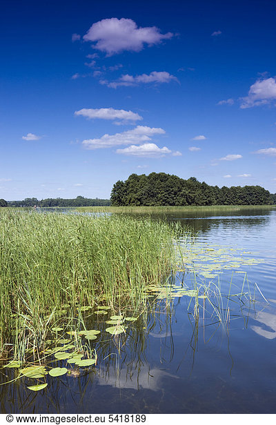 Der See Wigry  Wigry  Wigierski-Nationalpark  Polen  Europa