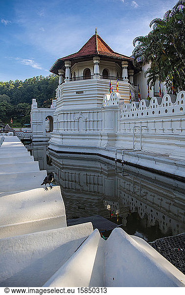 der Tempel der Reliquie des heiligen Zahns in Kandy / Sri Lanka