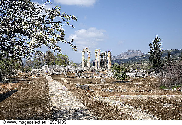 Der Tempel des Zeus in Nemea  Griechenland. Künstler: Samuel Magal