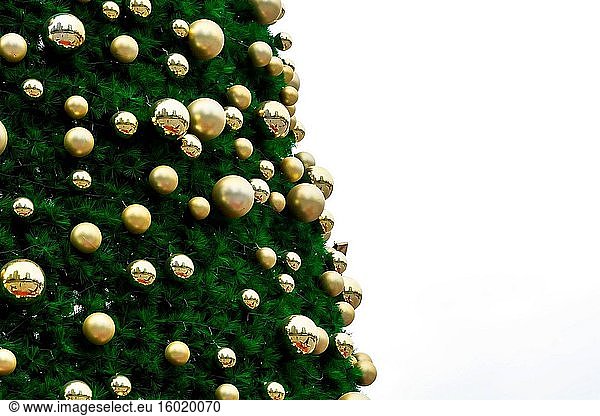 Der Weihnachtsbaum