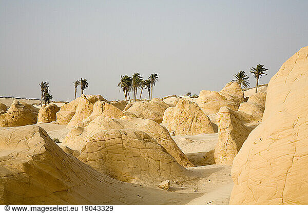 desert landscape in Tunisia