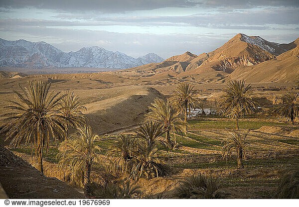 Desert oasis in Garmeh  Iran