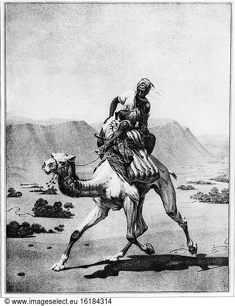 Desert Post / Lithograph / c. 1850