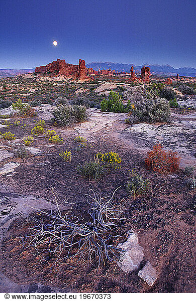 desert scene  Arches National Park  Moab  Utah