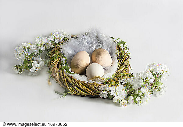 Design mit gold bemalten Eiern im Nest  auf weißem Hintergrund
