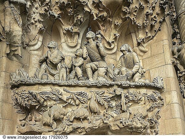 Detail an der Geburtsfassade der Sagrada Familia  Sühnekirche der heiligen Familie  von Antoni Gaudí  Barcelona  Katalonien  Spanien  Europa