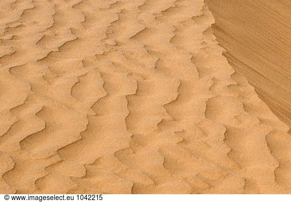 Detail des Dune. Erg Chebbi  Tafilalet Oase. Südmarokko