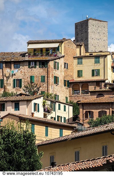 Detail Details Ausschnitt Ausschnitte Gebäude Hügel Stadt Fassade Hausfassade Italien Siena Toskana