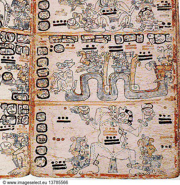 Detail einer Seite aus dem Codex Troana Cortesianus  auch bekannt als Codex von Madrid. Dieser Codex ist einer von nur vier erhaltenen Maya-Codices und besteht ausschließlich aus Almanachen  die nach dem rituellen 260-Tage-Kalender geordnet sind  der in ganz Mesoamerika für Weissagungen und Prophezeiungen verwendet wurde. Mexiko. Maya. Radiokohlenstoff datiert auf 1230+/ 130 n. Chr.