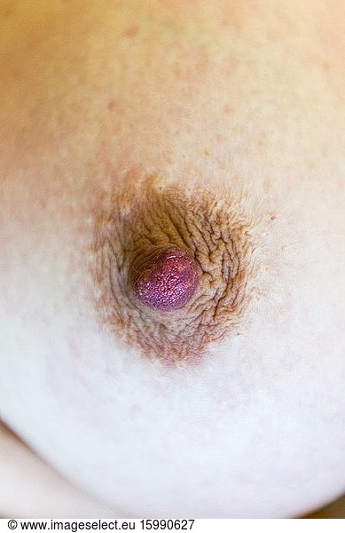 Detail of a breast and nipple of an adult woman