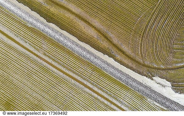 Detail of a flooded rice field in May  the tracks are caused by a tractor sowing rice seeds  aerial view  drone shot  Ebro Delta Nature Reserve  Tarragona province  Catalonia  Spain  Europe