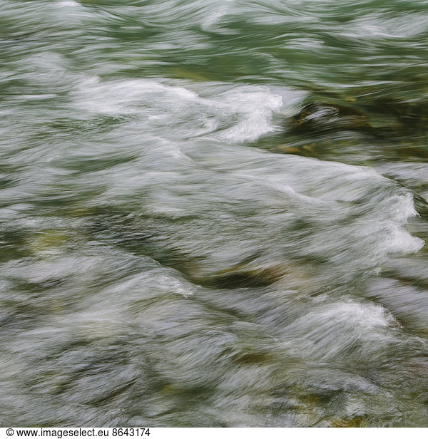 Detail of flowing river water  Dosewallips River  Olympic NP  WA