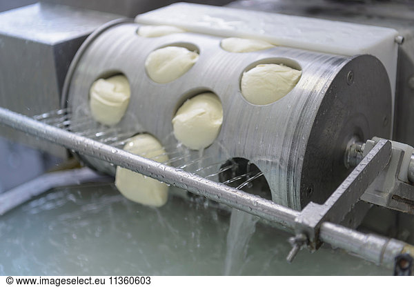 Detail of mozzarella-forming machine operated in cheese factory