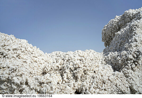 Detail of piles of cotton against blue like clouds
