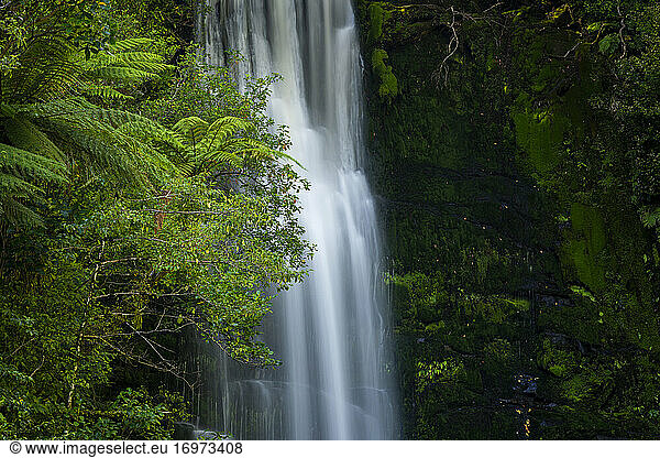 Detail of Upper McLean Falls in Catlins Forest Park  The Catlins  Otago Region  South Island  New Zealand