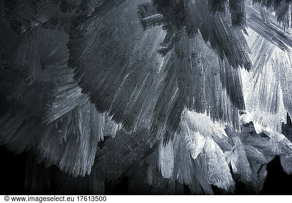 Detail photograph of the giant ice crystals clinging to the walls and ceiling of one section midway inside The Crystal Palace. It seemed a common occurance that the higher up the cliff face the team encountered caves  the more they noted the presence of ice.; Northeast Greenland   Greenland