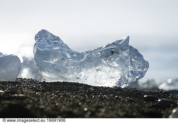 Detail shot of ice chunk on Diamond beach  Iceland