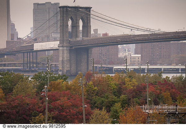 Detailansicht der Brooklyn Bridge  New York  USA