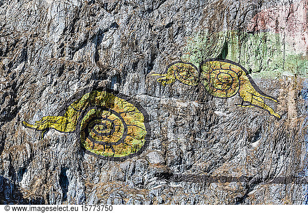 Detailaufnahme von Tieren auf dem Wandgemälde der Vorgeschichte  Vinales-Tal; Kuba