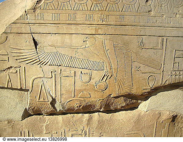 Details eines Falken  der eine Sonnenscheibe umklammert  aus einer hieroglyphischen Inschrift  Ägypten. Altägyptisch  Neues Reich  18. Dynastie.