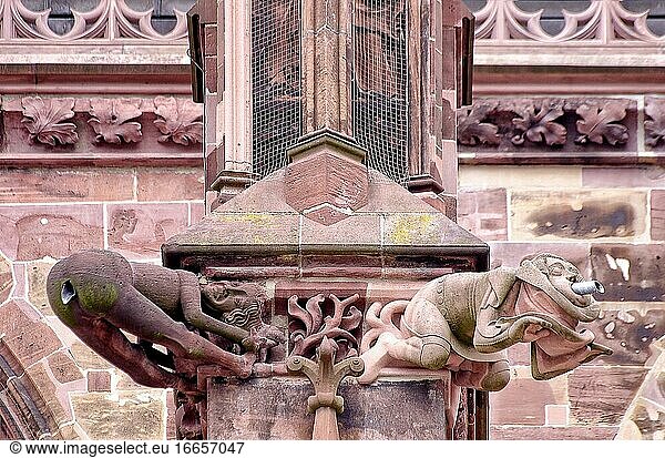 Details mit Wasserspeiern  von denen einer der berühmte Butt-Blaster ist  an der Fassade des Kirchenschiffs des Münsters Unserer Lieben Frau  Freiburg  Baden-Württemberg  Deutschland.