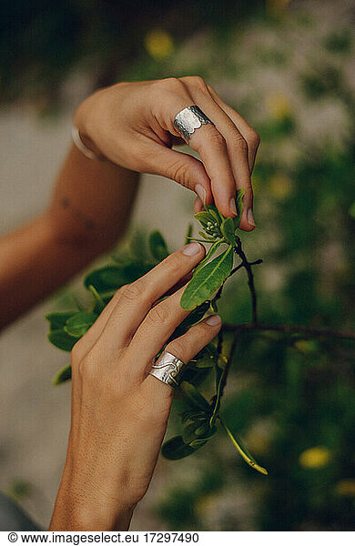 details of a hands wearing a silver rings