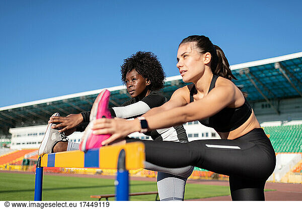 Determined diverse sportswomen stretching near hurdle