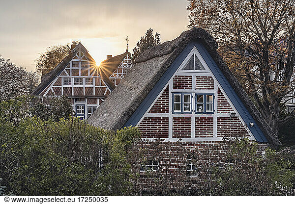 Deutschland  Altes Land  Fachwerkhäuser bei Sonnenuntergang