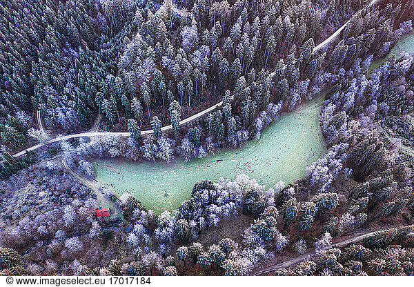 Deutschland  Baden-Württemberg  Drohnenaufnahme einer kleinen Lichtung im Schwäbischen Wald in der Winterdämmerung