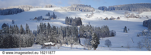 Deutschland  Baden-Württemberg  Schwarzwald