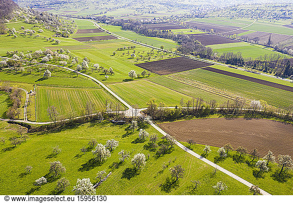 Deutschland  Baden-Württemberg  Weilheim an der Teck  Drohnenblick auf die weite grüne Landschaft im Frühling