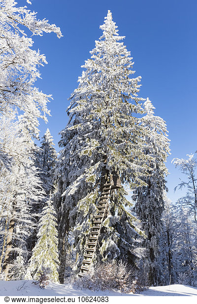 Deutschland  Bayern  Böhmerwald im Winter  Hochsitz