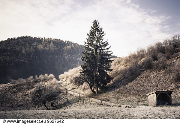 Deutschland  Bayern  Berchtesgadener Land  ländliche Landschaft