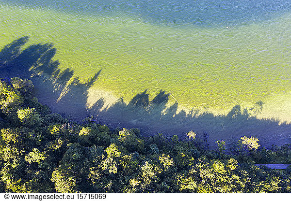 Deutschland  Bayern  Bernried am Starnberger See  Luftaufnahme des Waldrandes und des grünen Ufers des Starnberger Sees