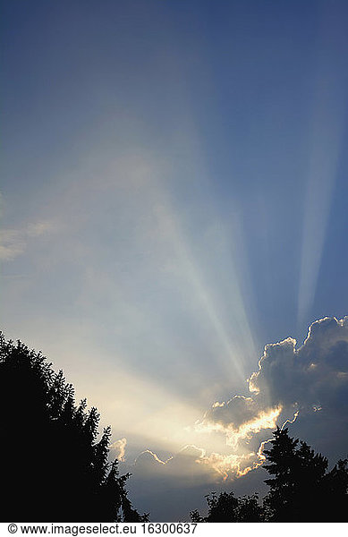 Deutschland  Bayern  Feldkirchen  Sonnenstrahlen am Morgen