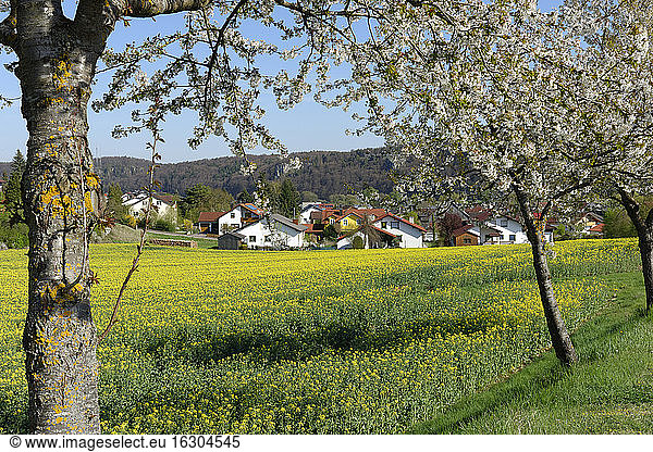 Deutschland  Bayern  Oberbayern  Altmühltal  Walting  Gungolding