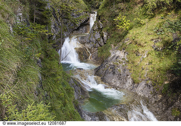 Deutschland  Bayern  Oberbayern  Bayrischzell  Wasserfall Grüne Gumpe