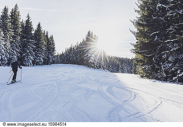 Deutschland  Bayern  Reit im Winkl  Rucksacktouristin beim Skifahren im Winterwald bei Sonnenaufgang