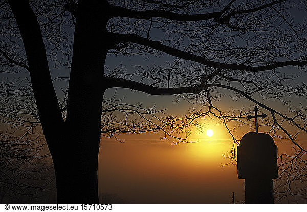 Deutschland  Bayern  Silhouetten eines kahlen Baumes und eines Wahrzeichens bei Sonnenuntergang