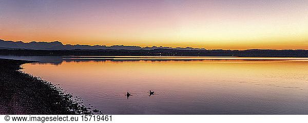 Deutschland  Bayern  Starnberger See bei Amberg bei Sonnenaufgang