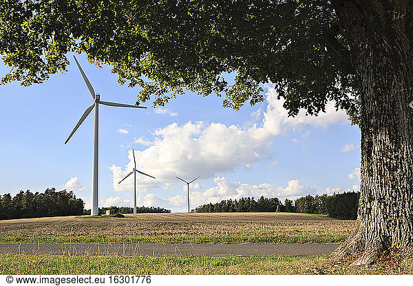 Deutschland Bayern Windkraftanlagen auf einem Feld bei Coburg