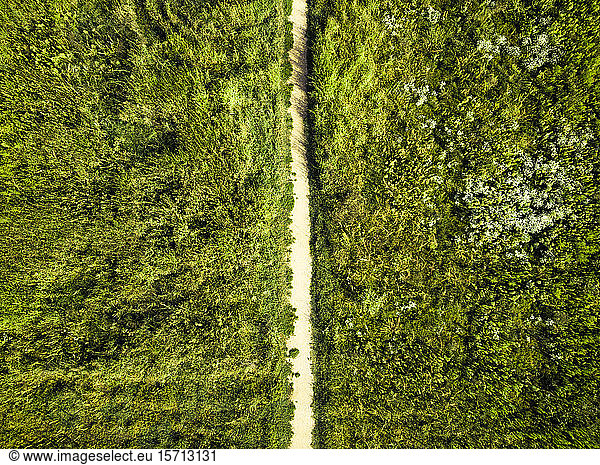 Deutschland  Berlin  Luftaufnahme eines leeren Feldweges inmitten grüner Vegetation