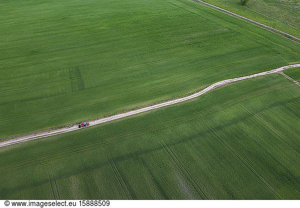 Deutschland  Brandenburg  unbefestigte Straße  die durch eine weite grüne Landschaft führt