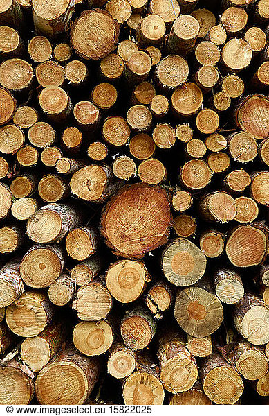 Deutschland  Brennholzstapel