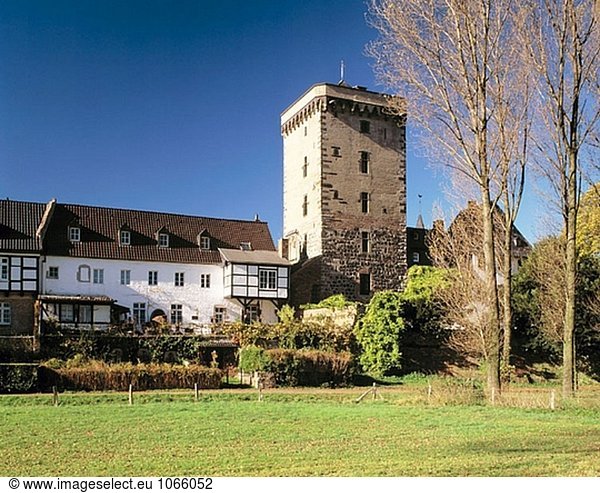 Deutschland  Dormagen-Zons  Niederrhein  Nordrhein-Westfalen  Stadt  Rhein Tower  Zoll Wehrturm  Herbstfarben