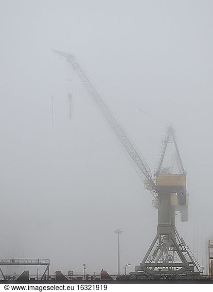 Deutschland  Hamburg  Hamburger Hafen  Hafenkran und Nebel