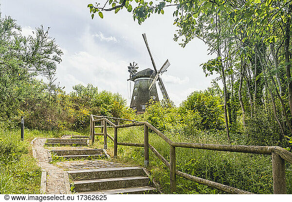 Deutschland  Mecklenburg-Vorpommern  Benz  Treppe zur alten Windmühle